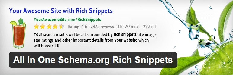 افزونه وردپرس All In One Schema.org Rich Snippets